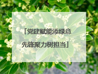 党建赋能添绿意 先锋聚力树担当