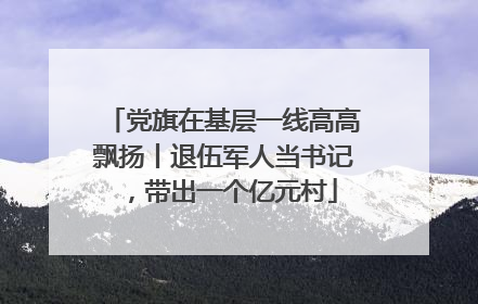 党旗在基层一线高高飘扬丨退伍军人当书记，带出一个亿元村