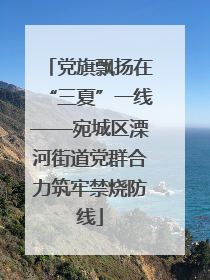 党旗飘扬在“三夏”一线——宛城区溧河街道党群合力筑牢禁烧防线
