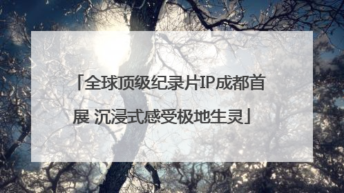全球顶级纪录片IP成都首展 沉浸式感受极地生灵