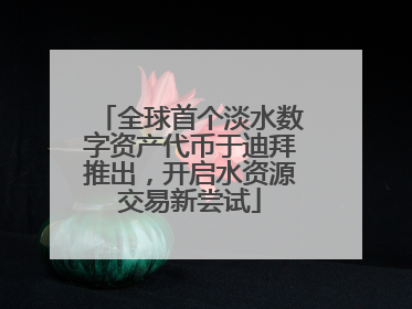 全球首个淡水数字资产代币于迪拜推出，开启水资源交易新尝试