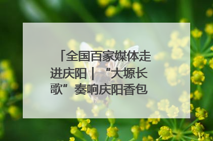全国百家媒体走进庆阳｜“大塬长歌”奏响庆阳香包民俗文化节序曲