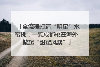 全流程打造“明星”水蜜桃，一颗成都桃在海外掀起“甜蜜风暴”
