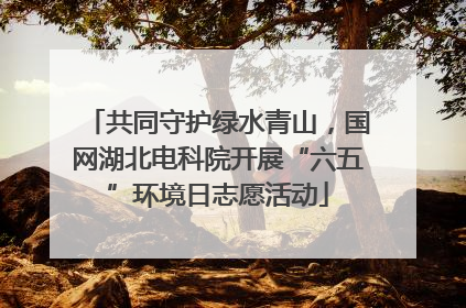 共同守护绿水青山，国网湖北电科院开展“六五”环境日志愿活动