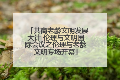 共商老龄文明发展大计 伦理与文明国际会议之伦理与老龄文明专场开幕