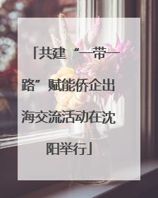 共建“一带一路”赋能侨企出海交流活动在沈阳举行