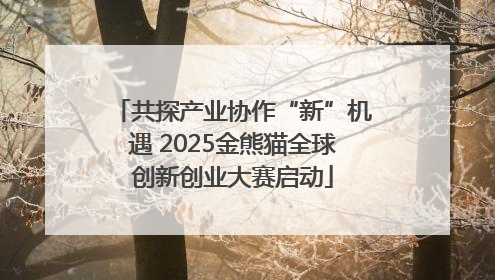 共探产业协作“新”机遇 2025金熊猫全球创新创业大赛启动