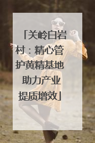 关岭白岩村：精心管护黄精基地 助力产业提质增效