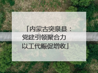 内蒙古突泉县：党建引领聚合力 以工代赈促增收
