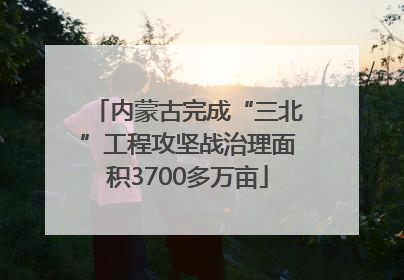 内蒙古完成“三北”工程攻坚战治理面积3700多万亩