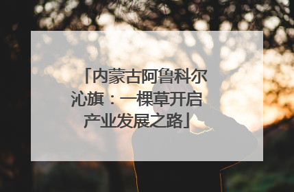 内蒙古阿鲁科尔沁旗：一棵草开启产业发展之路