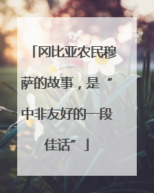 冈比亚农民穆萨的故事，是“中非友好的一段佳话”