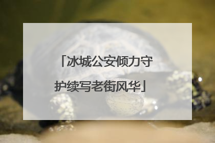 冰城公安倾力守护续写老街风华
