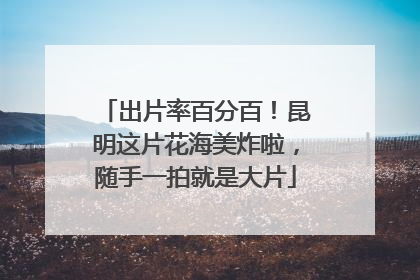 出片率百分百！昆明这片花海美炸啦，随手一拍就是大片