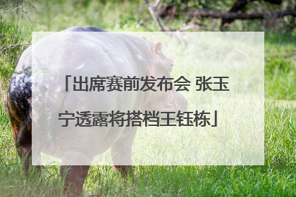 出席赛前发布会 张玉宁透露将搭档王钰栋