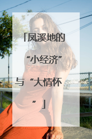 凤溪地的“小经济”与“大情怀”