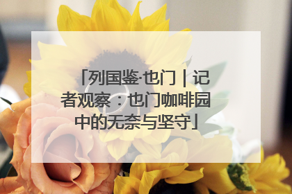 列国鉴·也门｜记者观察：也门咖啡园中的无奈与坚守