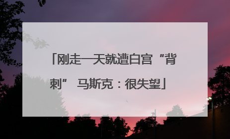 刚走一天就遭白宫“背刺” 马斯克：很失望