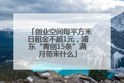 创业空间每平方米日租金不超1元，浦东“青创15条”满月带来什么