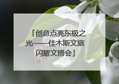 创意点亮东极之光——佳木斯文旅闪耀文博会