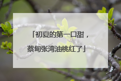 初夏的第一口甜，蔡甸张湾油桃红了
