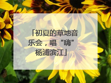初夏的草地音乐会，唱“嗨”杨浦滨江
