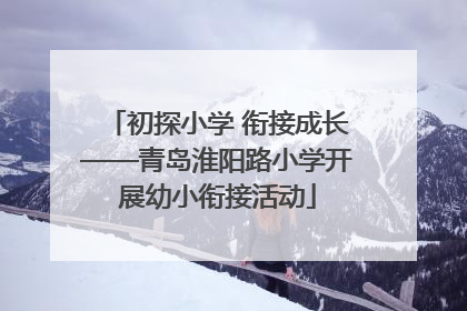 初探小学 衔接成长——青岛淮阳路小学开展幼小衔接活动