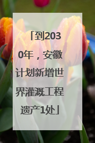 到2030年，安徽计划新增世界灌溉工程遗产1处