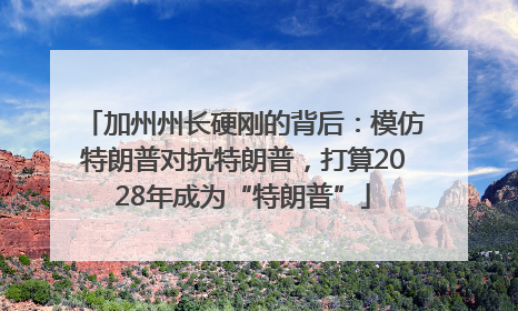 加州州长硬刚的背后：模仿特朗普对抗特朗普，打算2028年成为“特朗普”