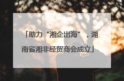 助力“湘企出海”，湖南省湘非经贸商会成立