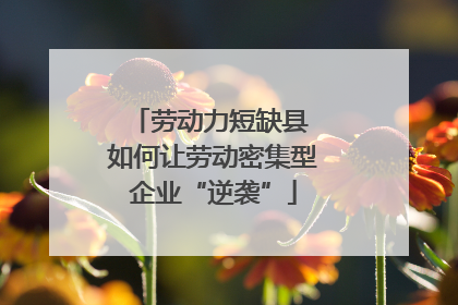 劳动力短缺县 如何让劳动密集型企业“逆袭”