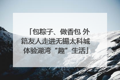 包粽子、做香包 外籍友人走进无锡太科城体验湖湾“趣”生活