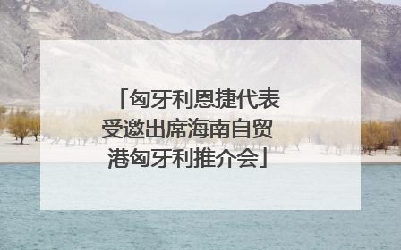 匈牙利恩捷代表受邀出席海南自贸港匈牙利推介会