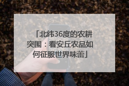 北纬36度的农耕突围：看安丘农品如何征服世界味蕾