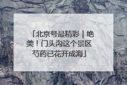 北京号最精彩｜绝美！门头沟这个景区芍药已花开成海
