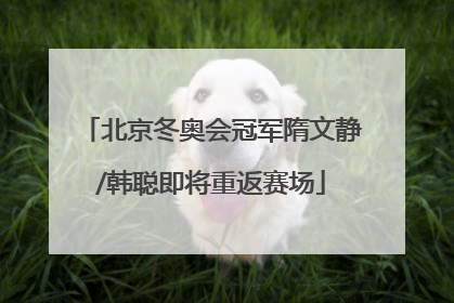 北京冬奥会冠军隋文静/韩聪即将重返赛场