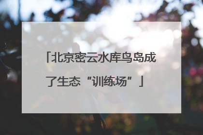 北京密云水库鸟岛成了生态“训练场”