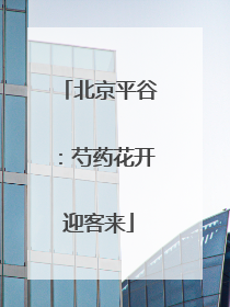北京平谷：芍药花开迎客来
