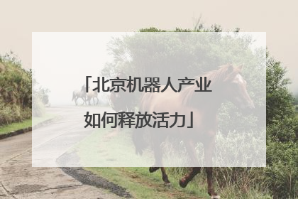 北京机器人产业如何释放活力