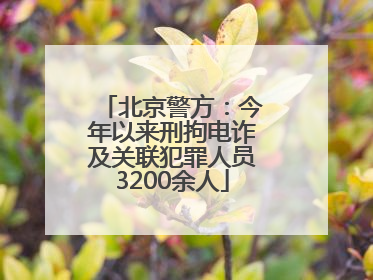 北京警方：今年以来刑拘电诈及关联犯罪人员3200余人