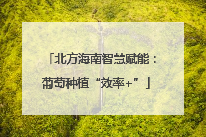 北方海南智慧赋能：葡萄种植“效率+”
