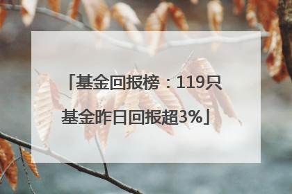 基金回报榜：119只基金昨日回报超3%