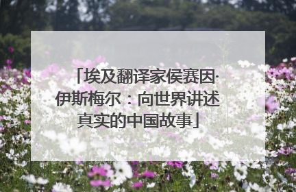 埃及翻译家侯赛因·伊斯梅尔：向世界讲述真实的中国故事