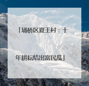 埇桥区夏王村：十年耕耘结出富民瓜