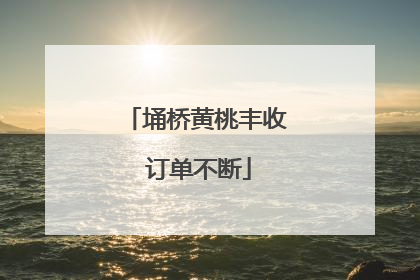 埇桥黄桃丰收 订单不断