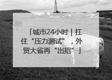 城市24小时｜扛住“压力测试”，外贸大省再“出招”
