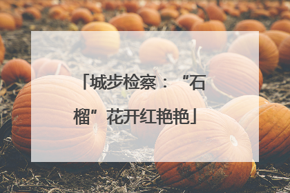 城步检察：“石榴”花开红艳艳