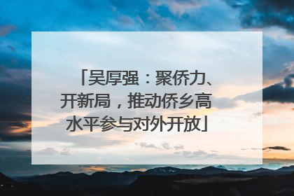 吴厚强：聚侨力、开新局，推动侨乡高水平参与对外开放