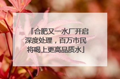 合肥又一水厂开启深度处理，百万市民将喝上更高品质水