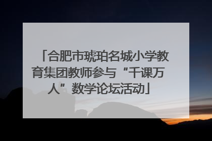 合肥市琥珀名城小学教育集团教师参与“千课万人”数学论坛活动